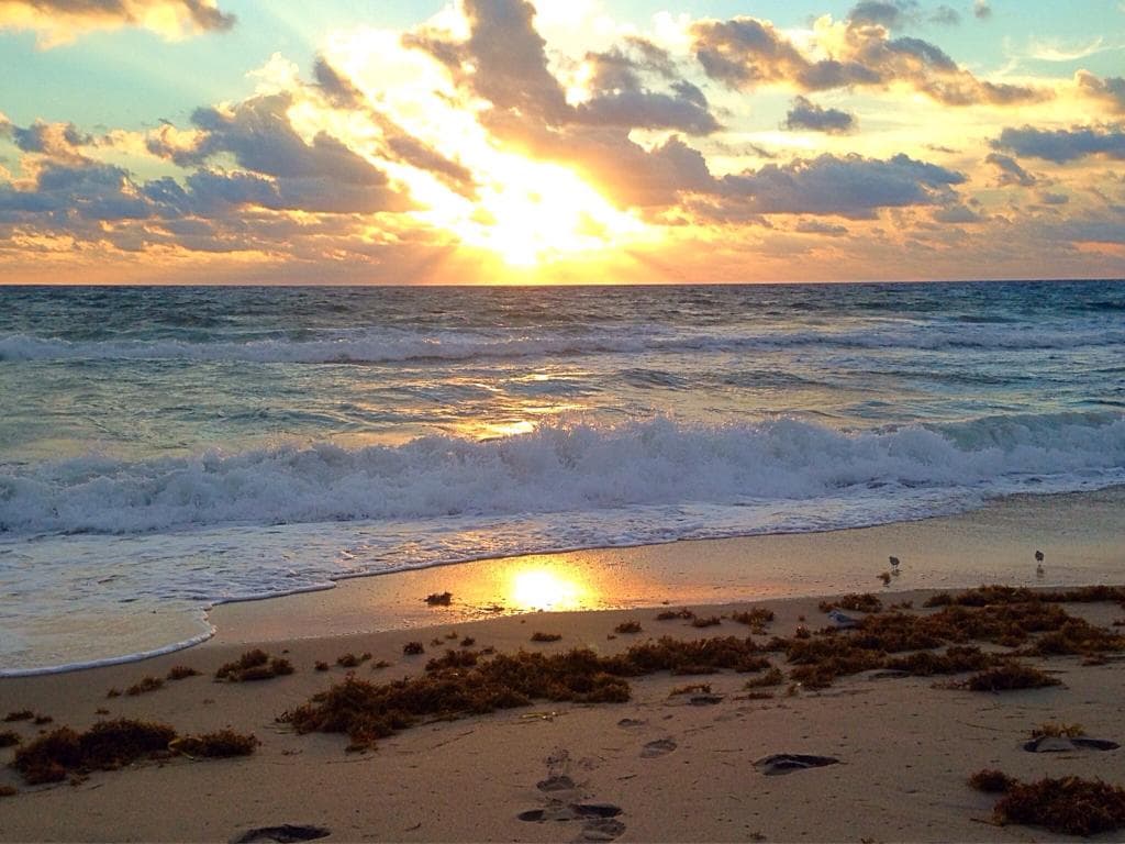 Oceanfront Park Beach
