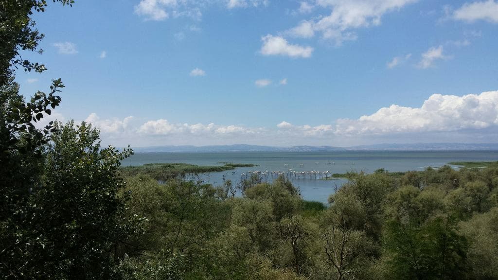 Manyas Kuş Cenneti