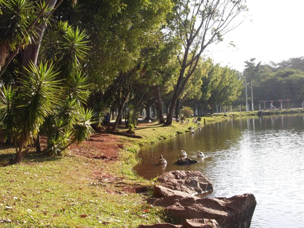Parque Limeira