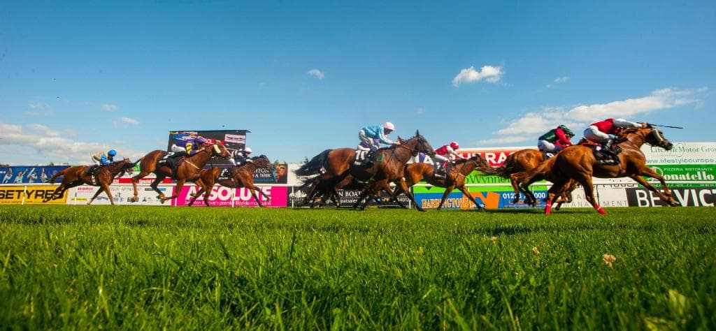 The final furlong at Brighton