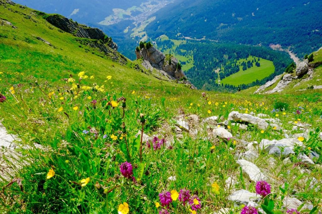 Seceda