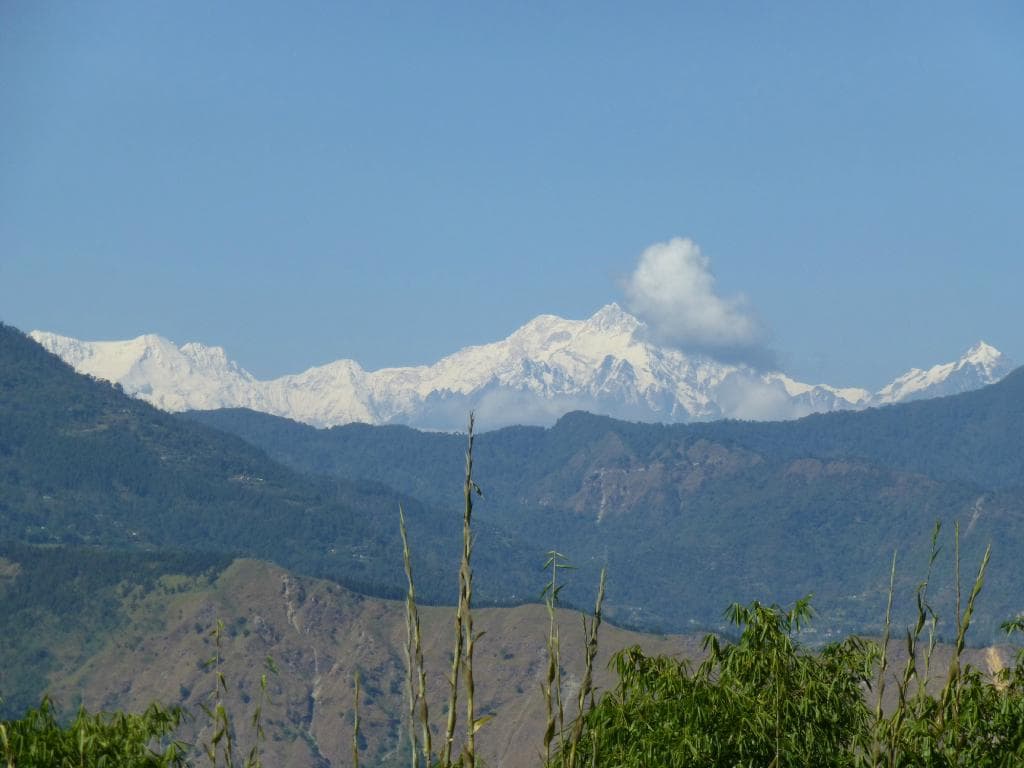 Kangchenjungha from the nursery