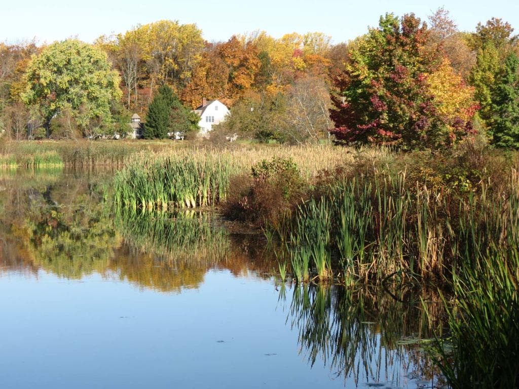 Kitchel Lake in Loantaka