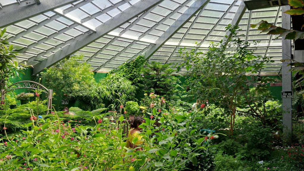 The Butterfly Place - Atrium