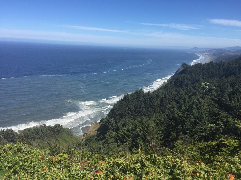 An amazing trail down to a beautiful beach through the forest. Be sure to wear good shoes, you'l