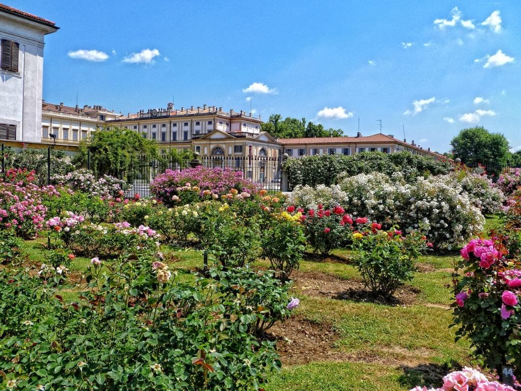 roseto 2015  003