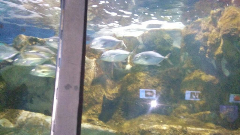 Educação e preservação !