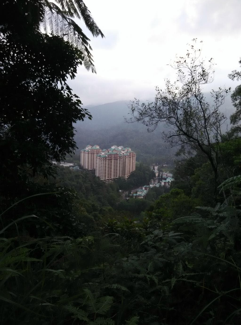 View of Gohtong Jaya during the first hour of the real hike