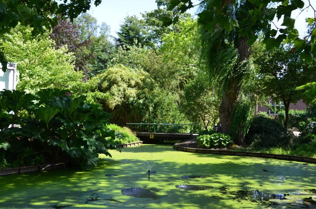 Delft Botanical Garden