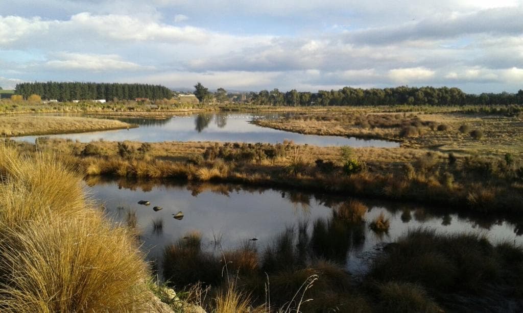 Otipua Wetland