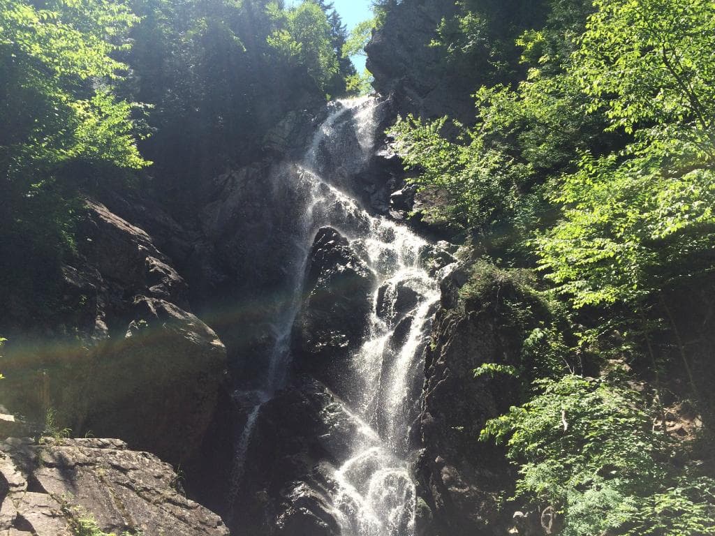 Angel Falls, Summer 2015