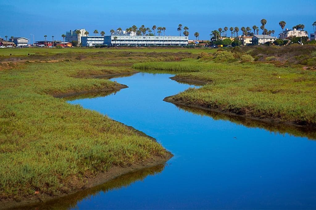 The beautiful estuary.