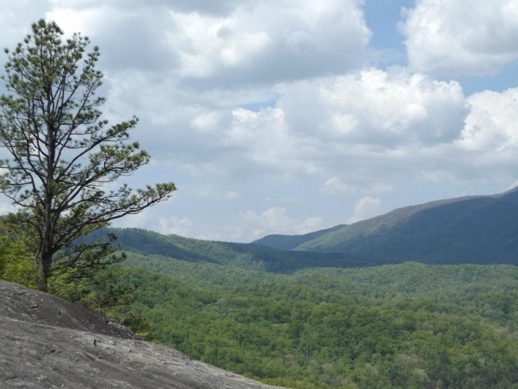 the mountains