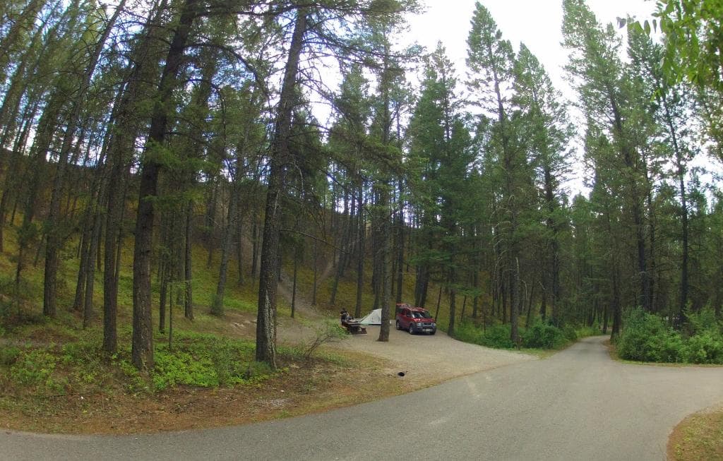 midway down the gulch