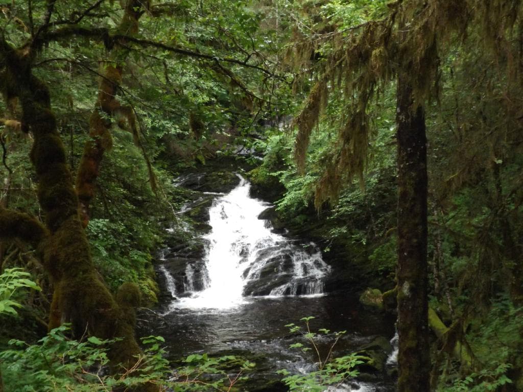 Waterfall