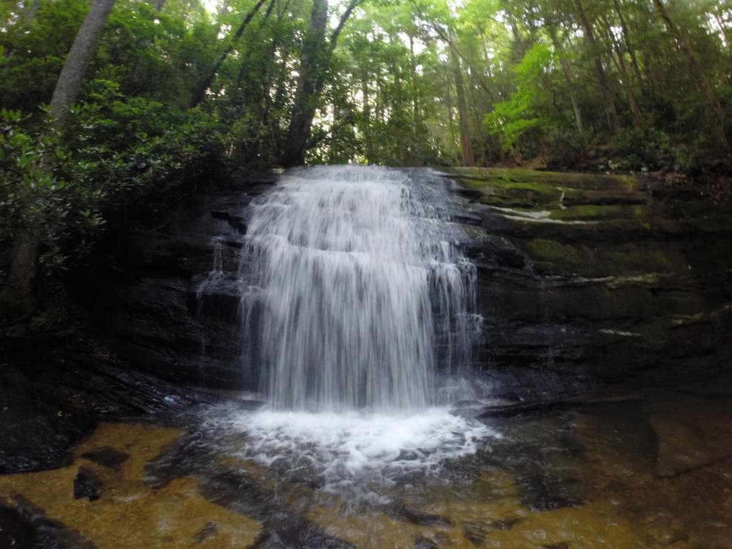 Falls