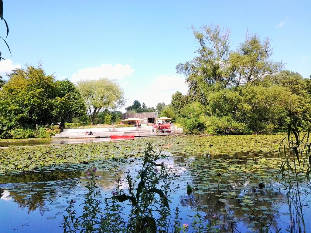 Kuckucksteich und Willi-Villa