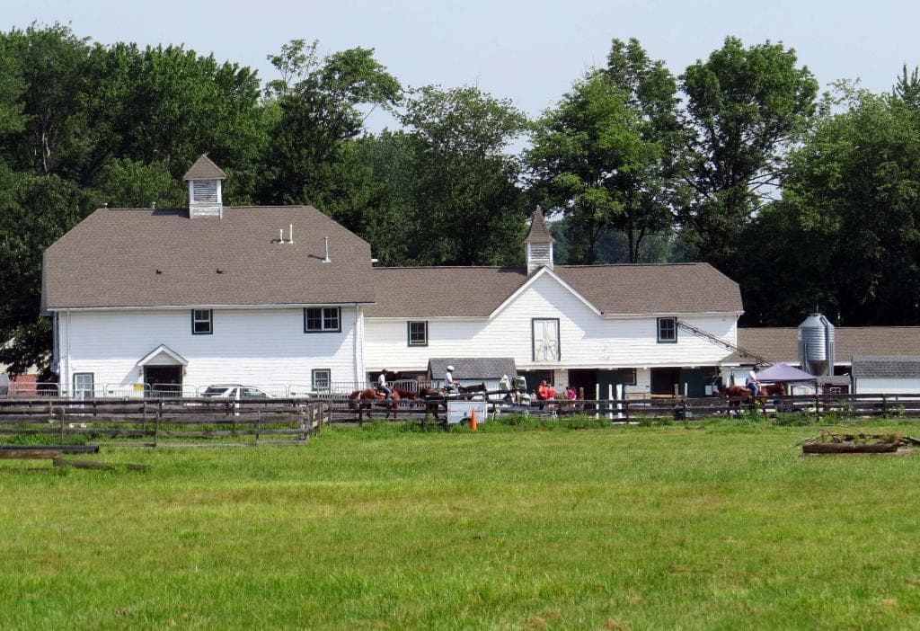 Seaton Stables
