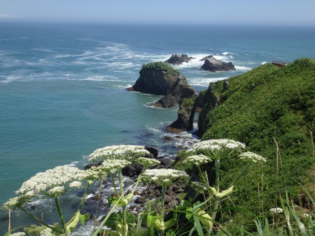 岬の先