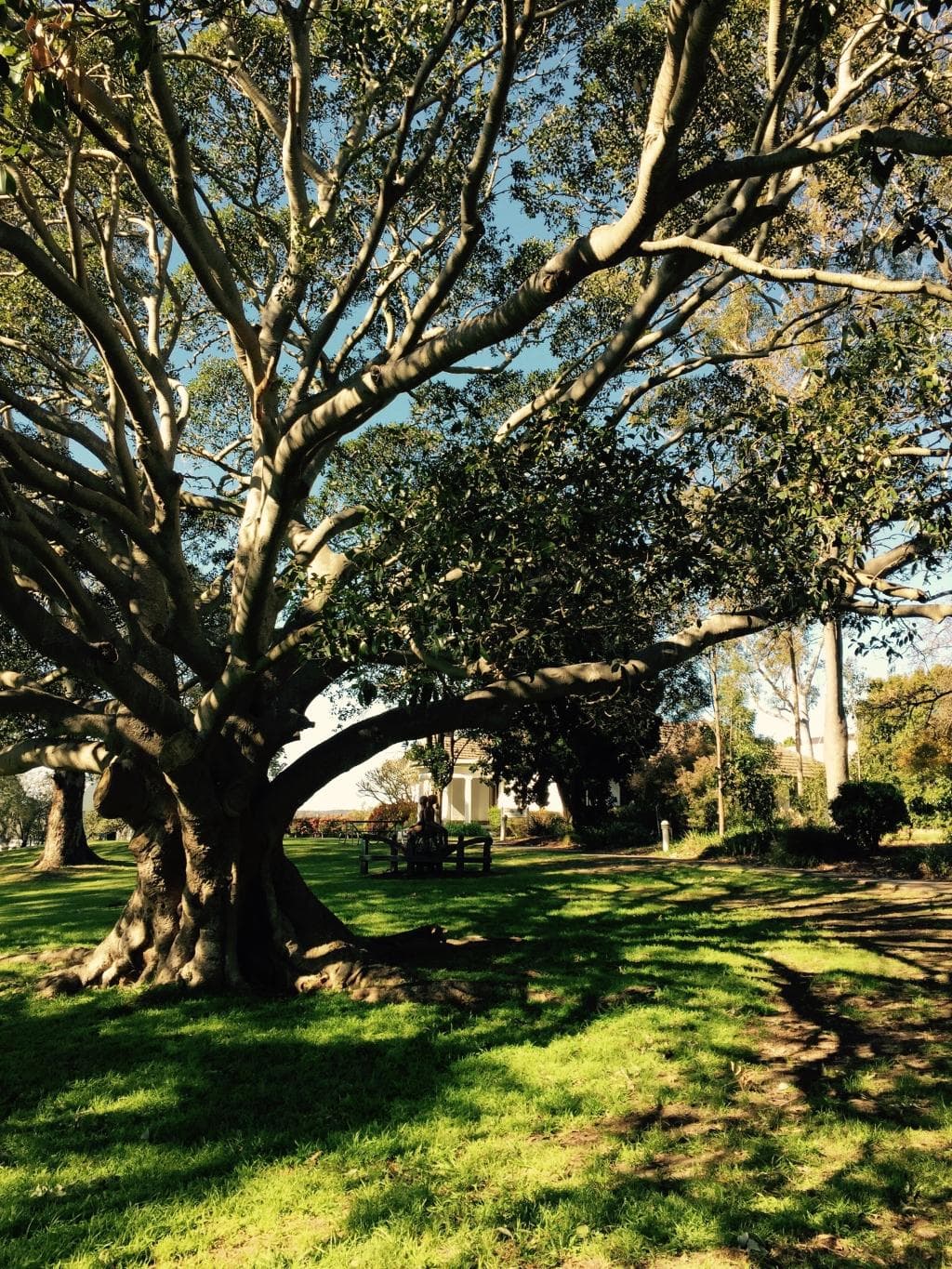 Lake Macquarie art gallery