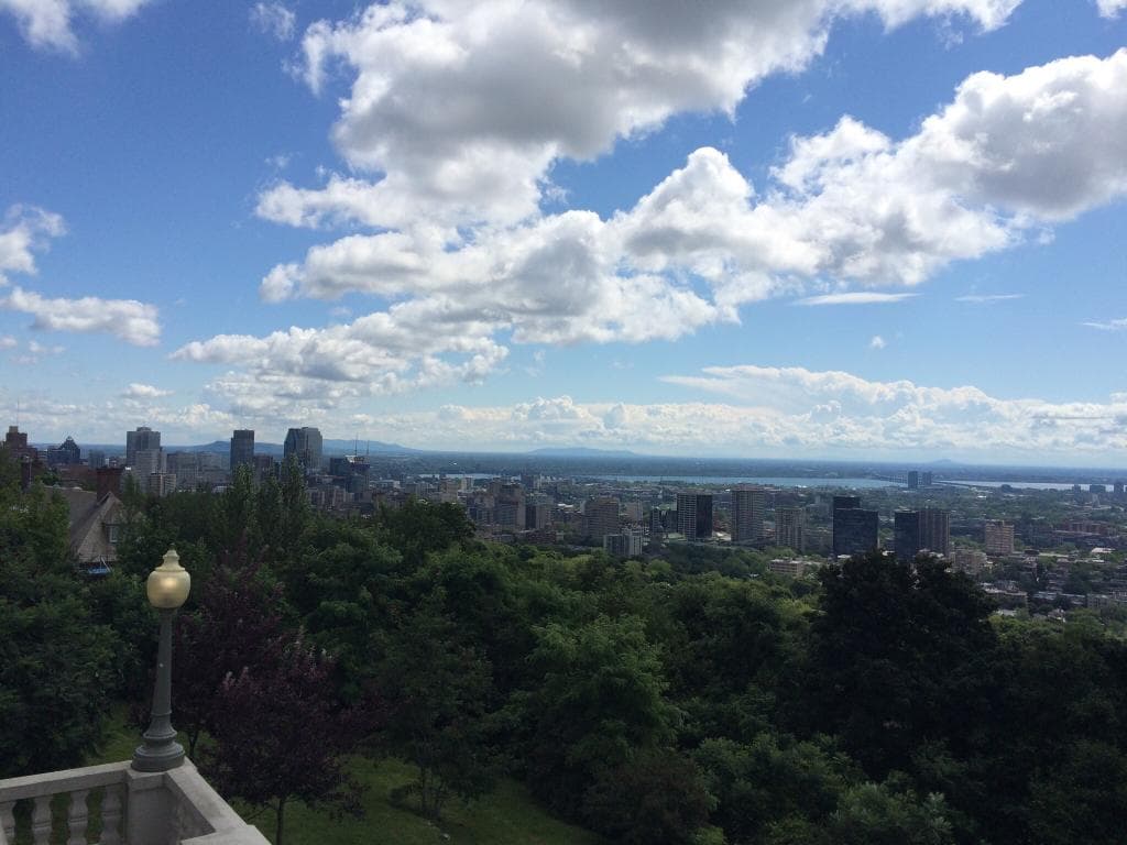 The view from the lookout