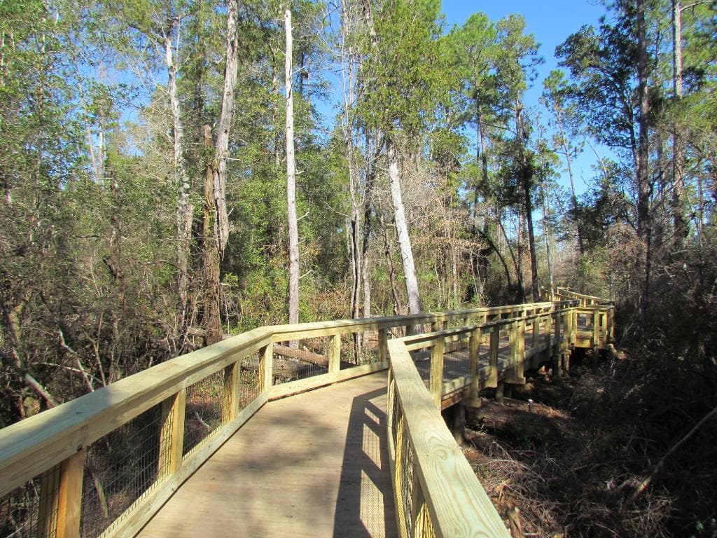 New boardwalk