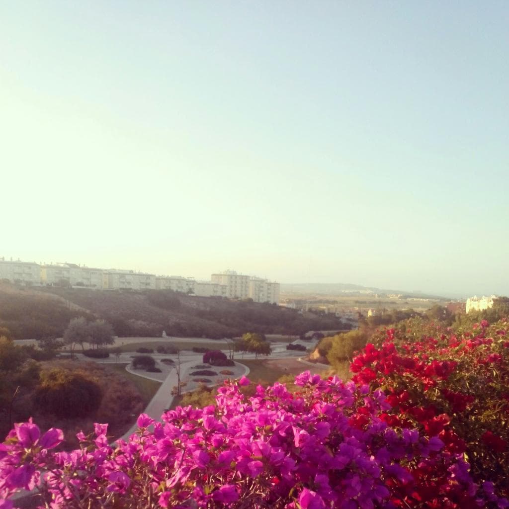 Parque Aromático de La Mata