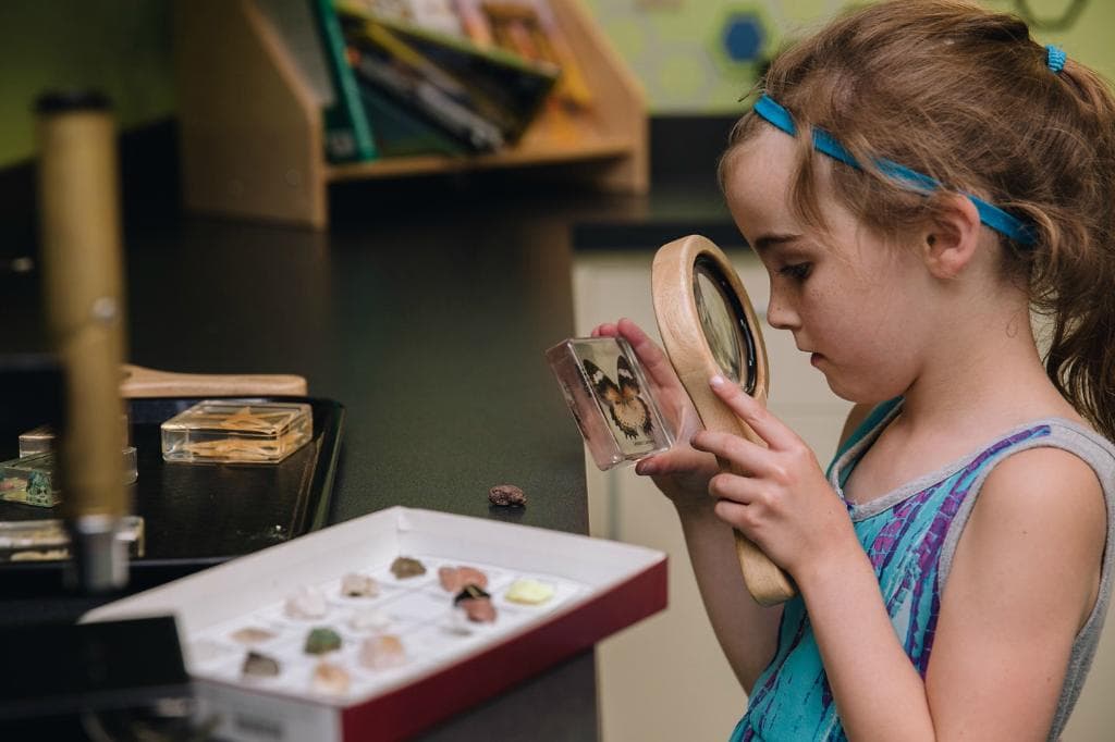 Investigating in the Science Lab