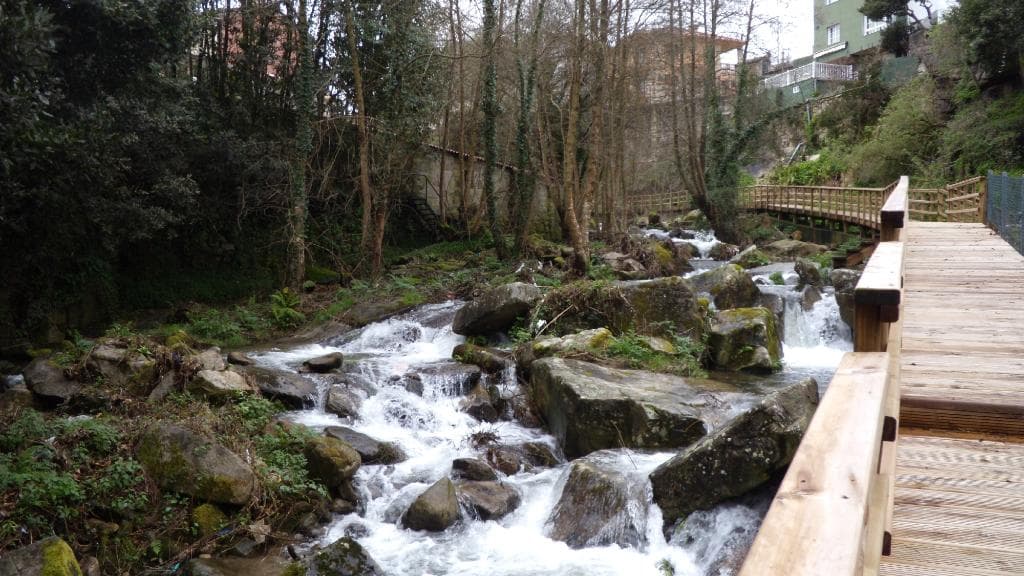 Paseo de madera