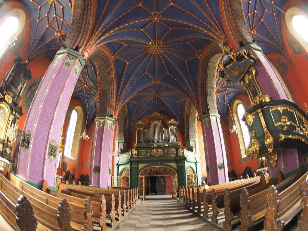 The rear and organ