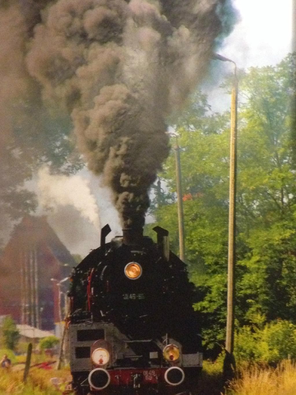 fotografia z muzeum