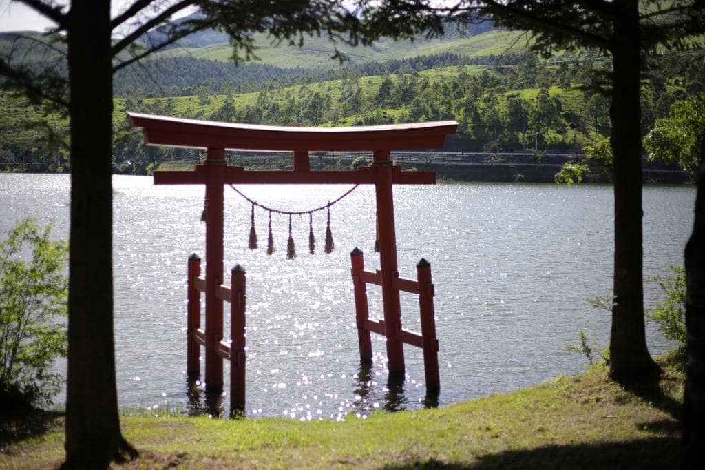 白樺湖にたつ赤鳥居