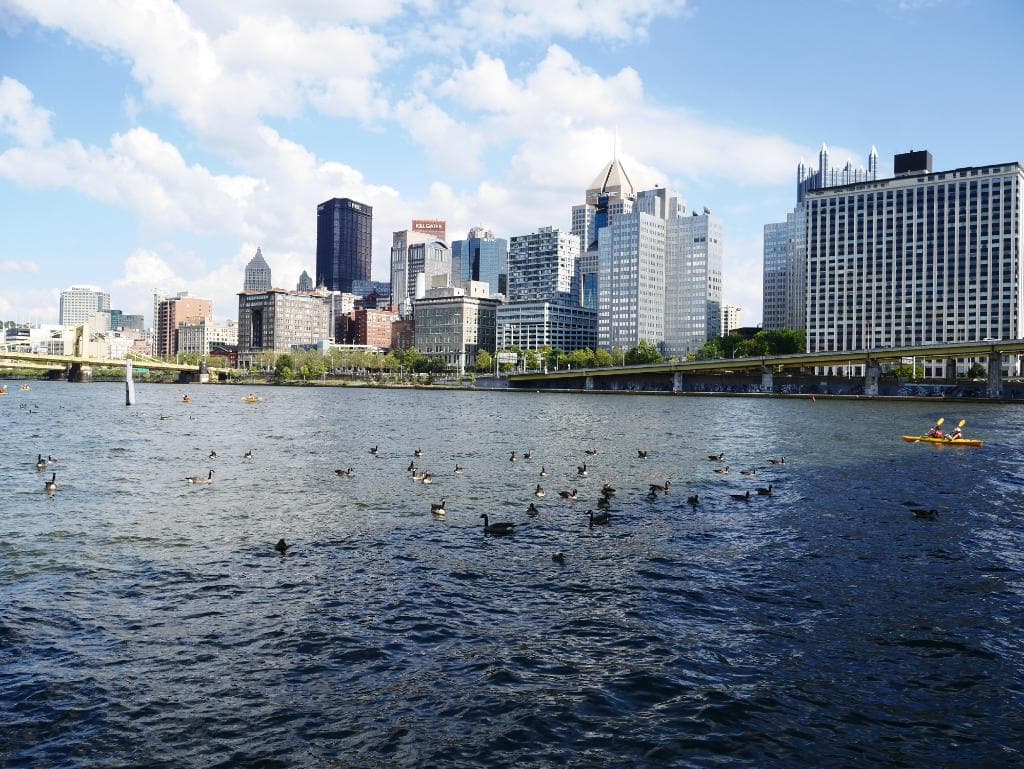 RIVER AND CITY VIEW