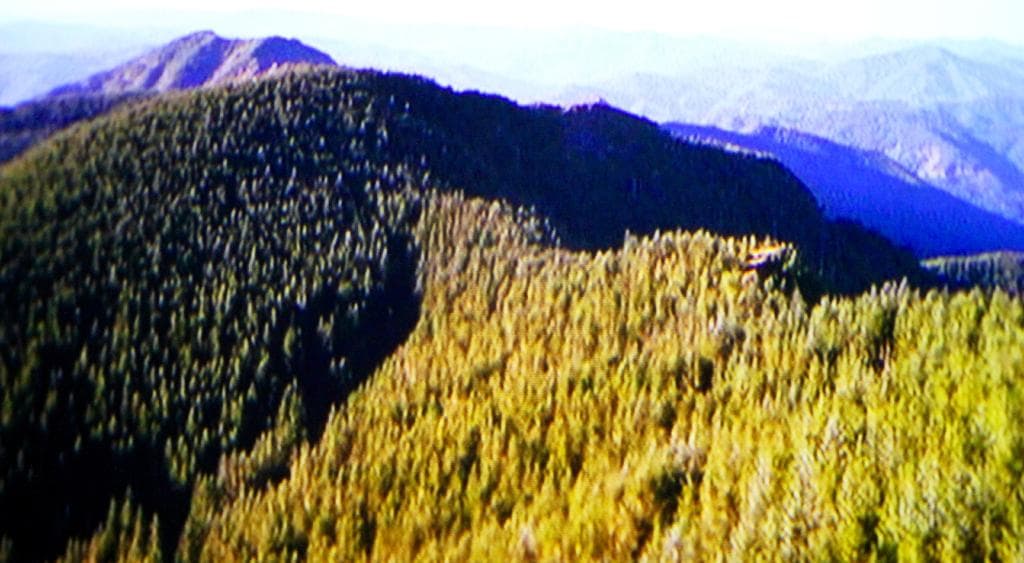 Tillamook Forest Center