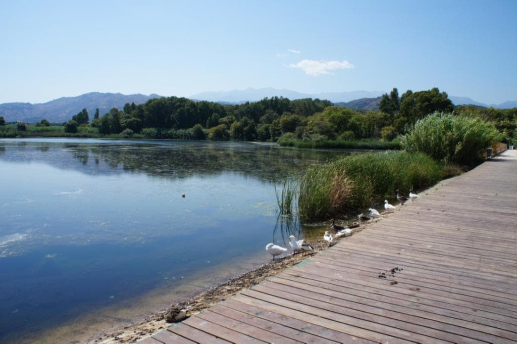Lake Agias - Walking around the quiet lake