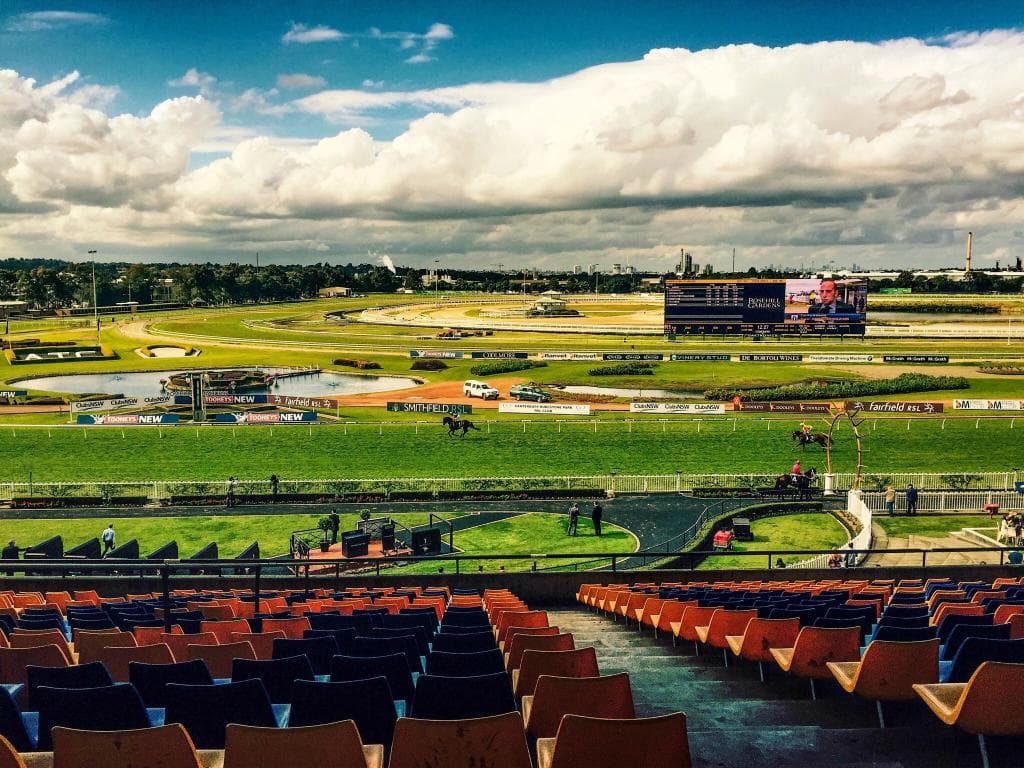 Rosehill Gardens scenes