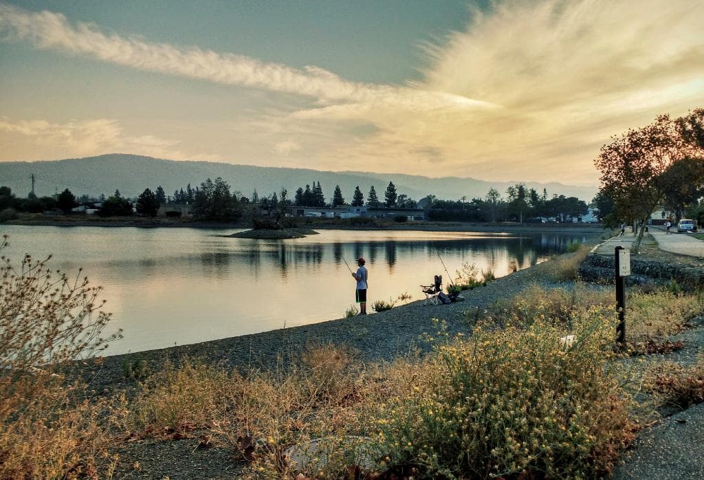 Fishing in the reservoir