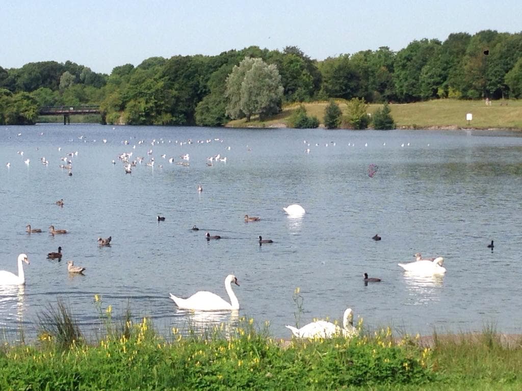 The Lakes are beautiful and full of wildlife. Plenty of picnic areas and a café.