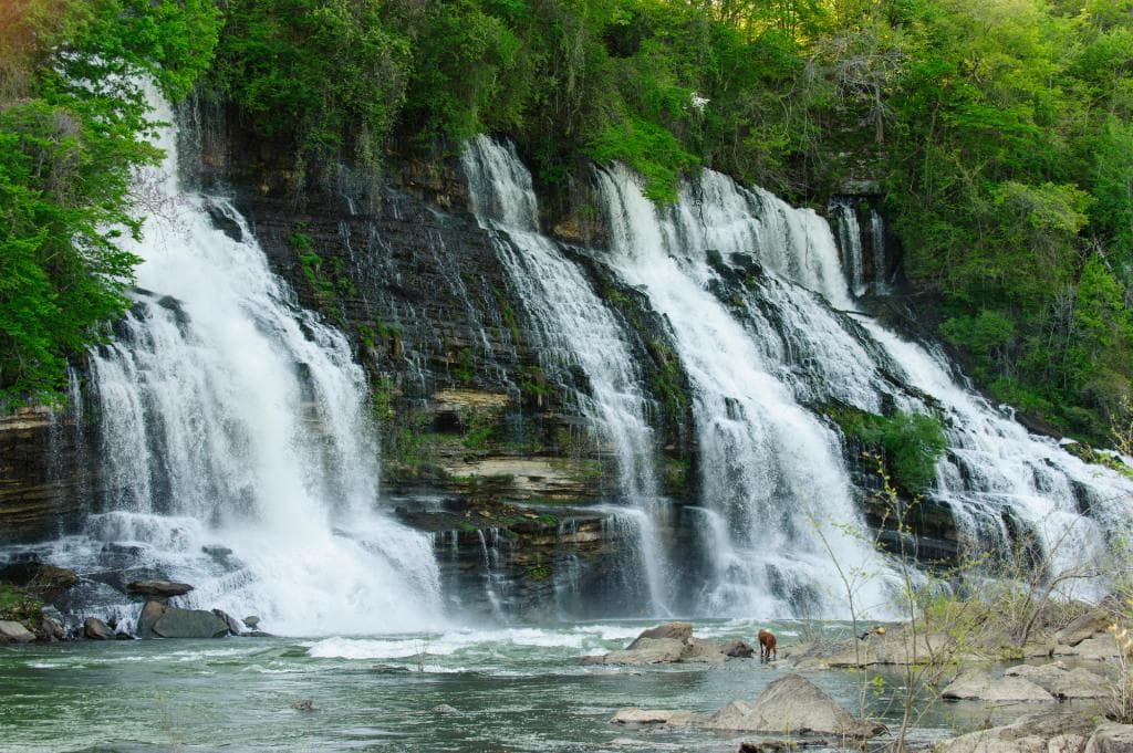 Rock Island