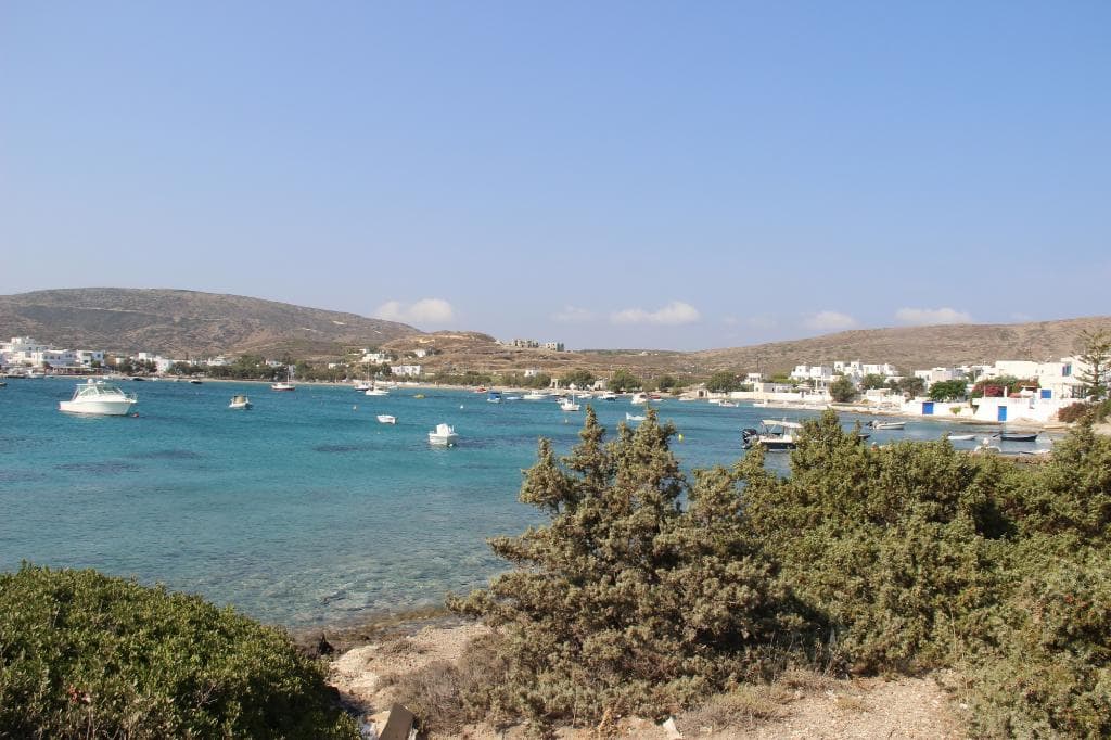 Pollonia