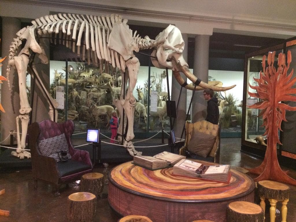 Natal Museum