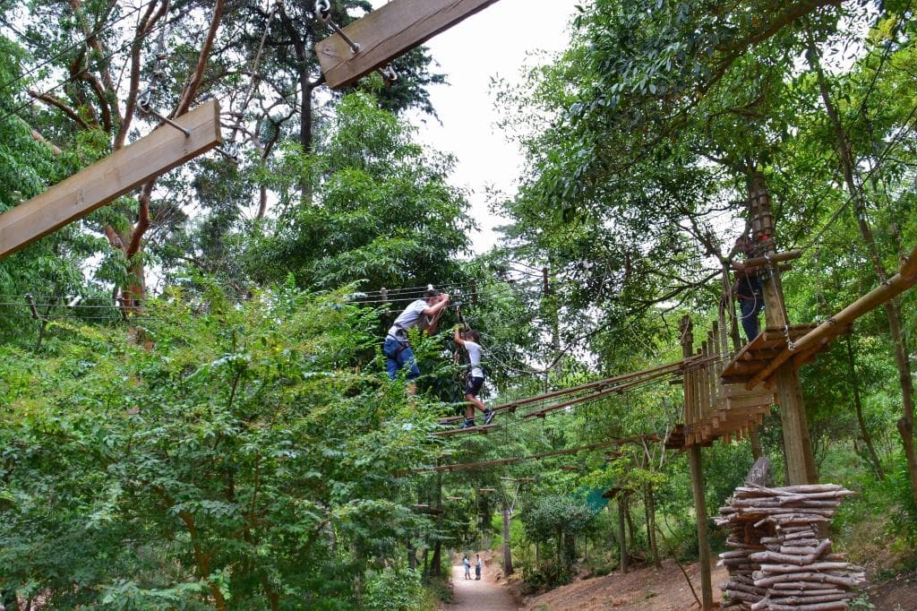 Parque Palmela