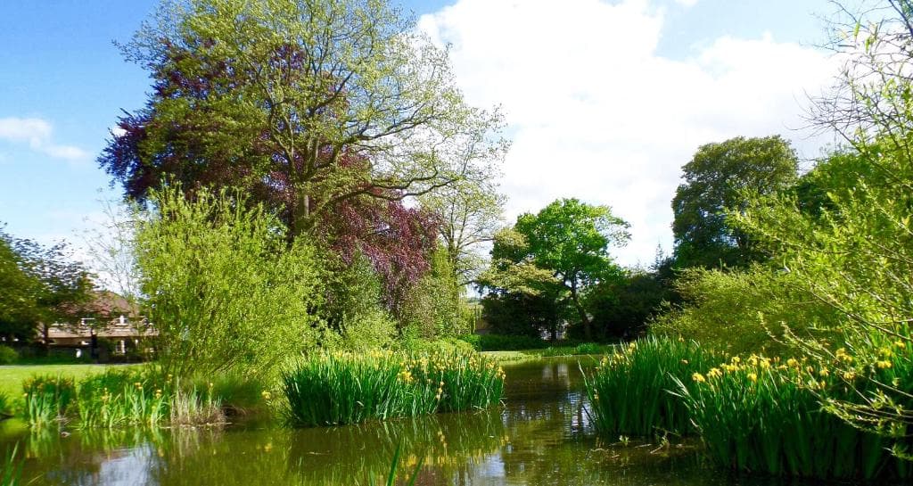 The beautiful old Boating Lake, lovingly restored.