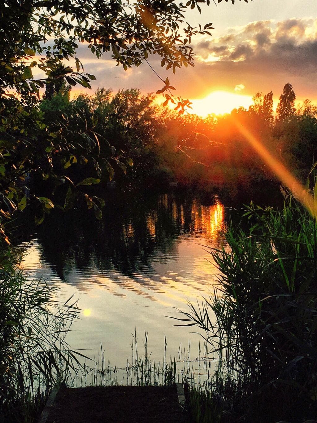 Bedfont Lakes