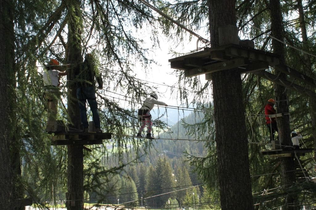 A spasso tra gli alberi
