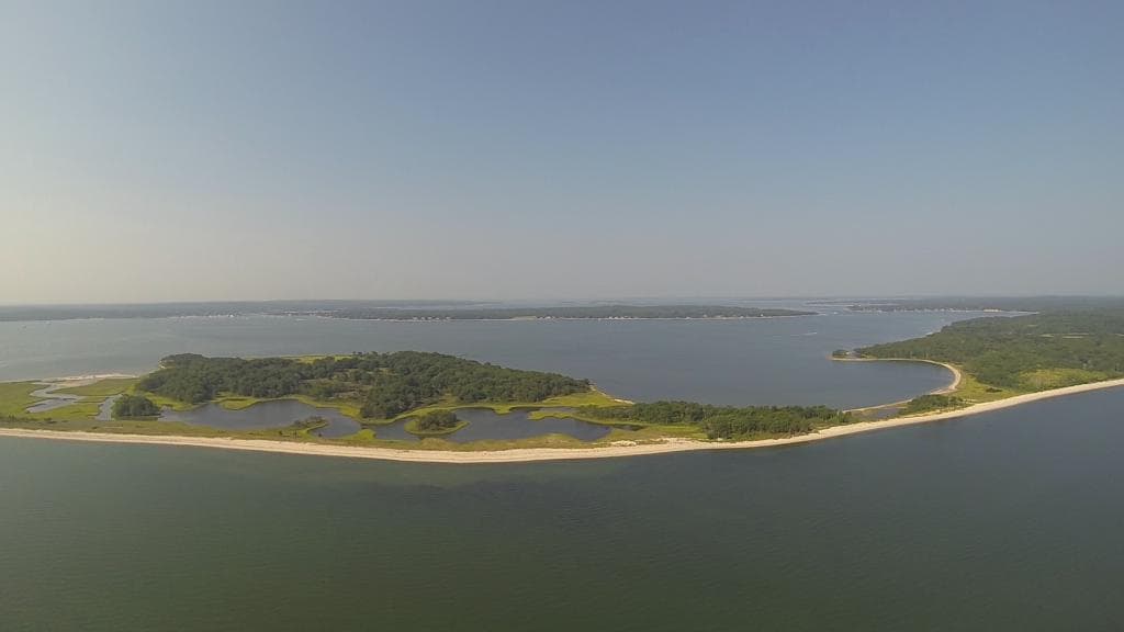 Cedar Point Aerial 3