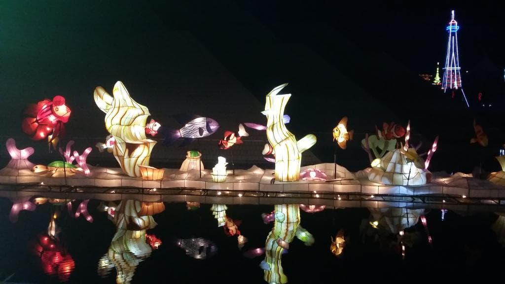 Lampion in water