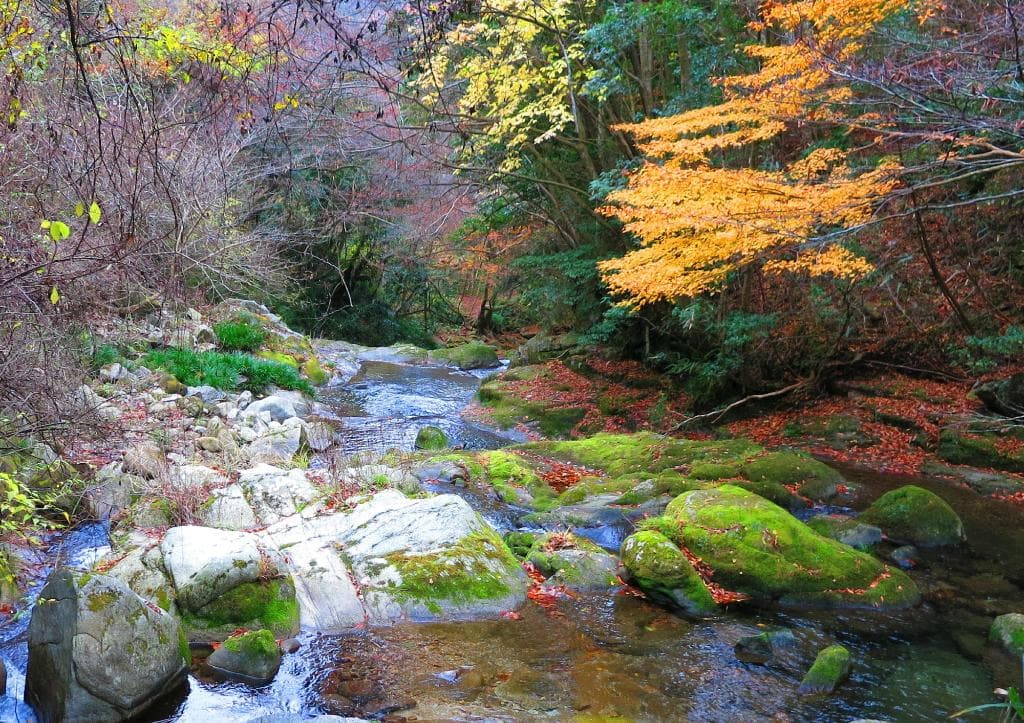 Hananuki Gorge