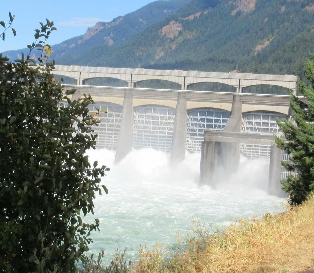 Dam letting out full force