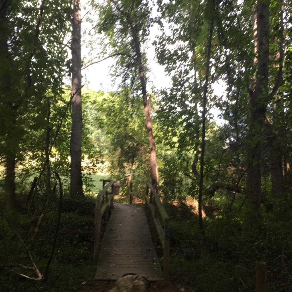 Falling Creek Park